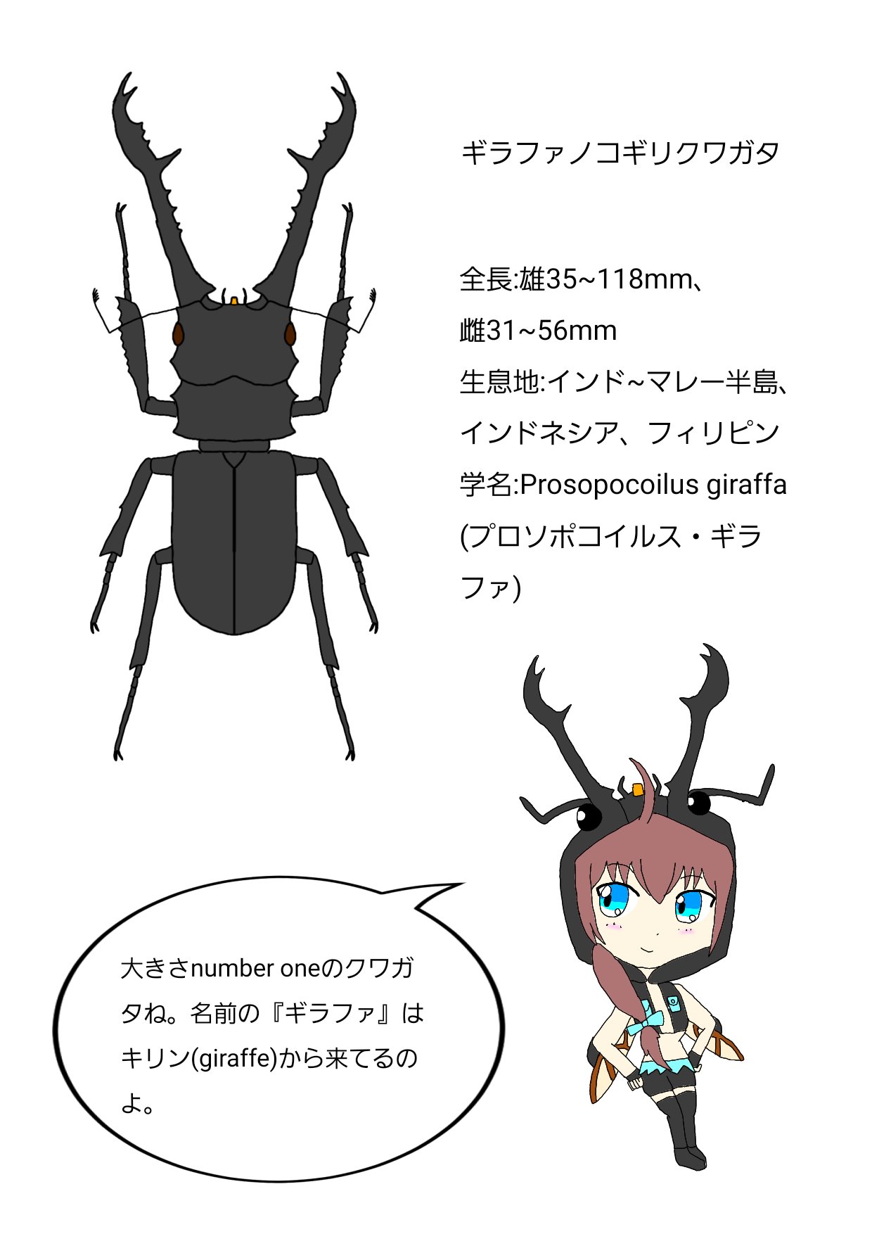 Little 昆虫図鑑風イラスト最終回 ギラファノコギリクワガタfeat チュチュ 玉出 珠手ちゆ 6月末から続いていたこれの投稿も終了 長きにわたってありがとうございました イラスト イラスト好きな人と繋がりたい イラスト好きさんと繋がりたい