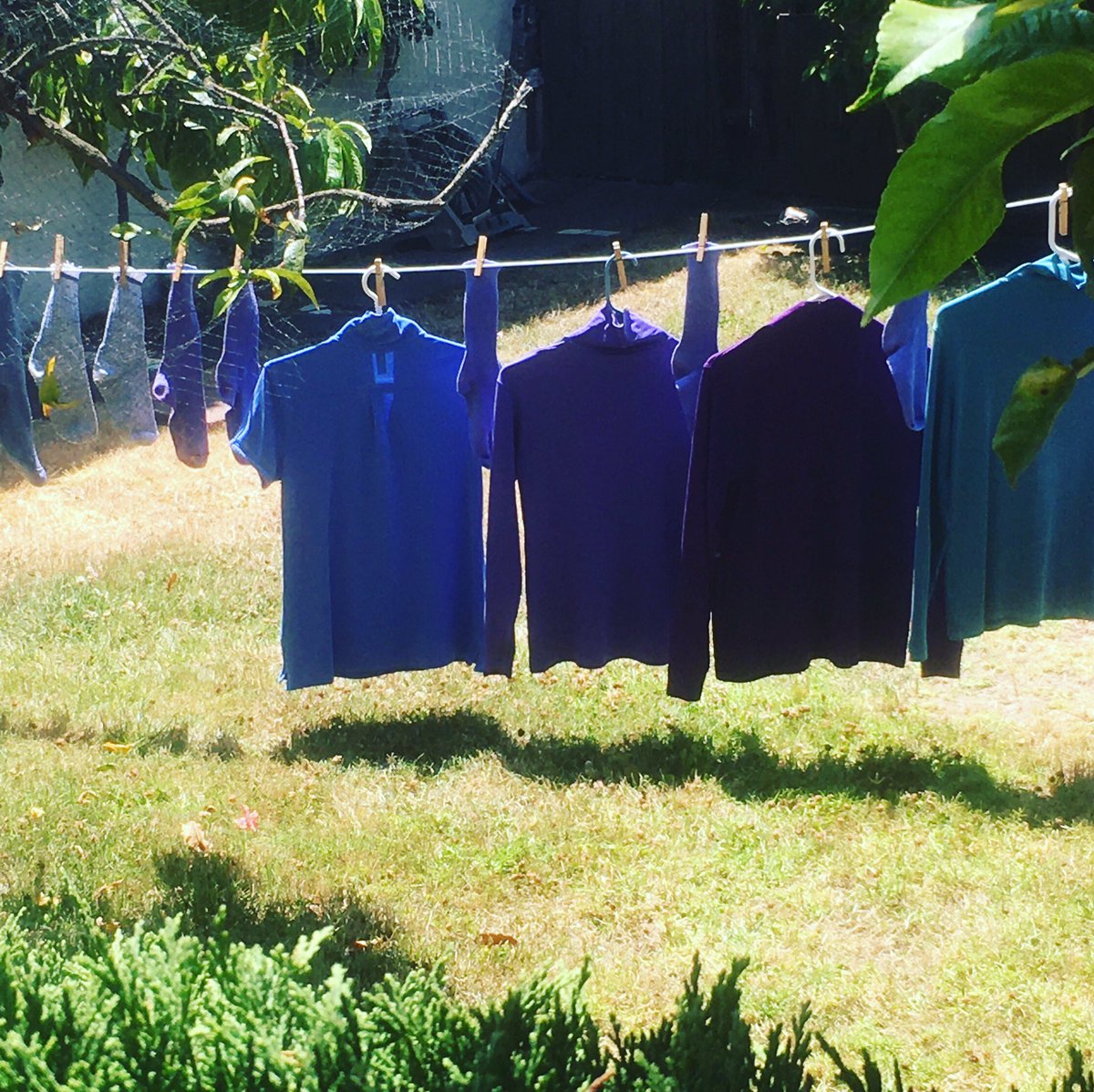 EnglishandPeace's tweet image. #washing
#linedryingclothes 
#linedry 
#urbanwalking
#neighborhoodwalk #neighborhood