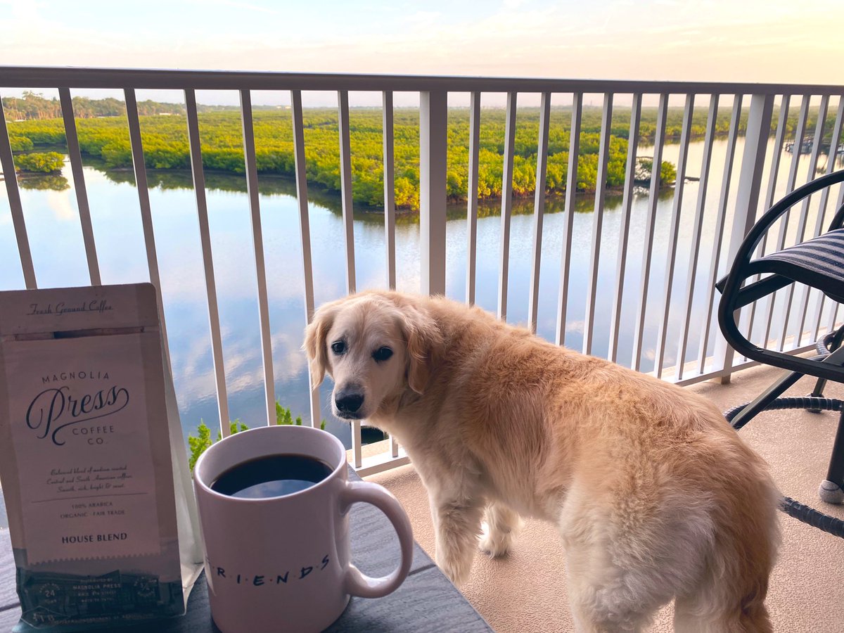 DunnMmjs1's tweet photo. Goodbye NSB… Goodbye July ❤️ 🌊 ☀️ #nsb #summer2021 #thanksalicia #grandson #gigi #pec #family #coffee2021 #thanksjen #grateful #mdunn2021 @BloemkerAlicia @kmevans3 https://t.co/uAzItS14Hb