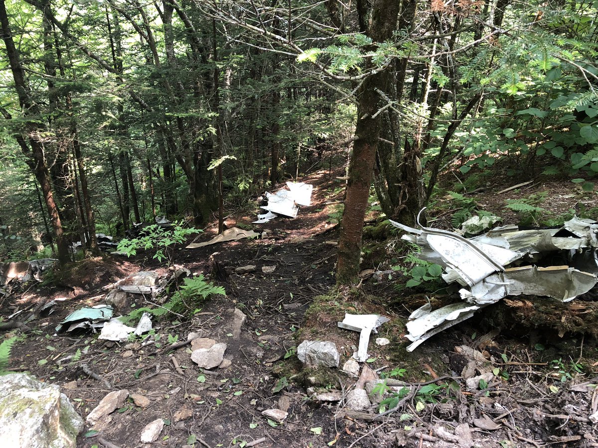 yukiyu99's tweet image. Made the hike today to 1983 plane crash site in the Great Smoky Mountains NW of Sylva, #NC. 

#Cessna414
#CherokeeNC
#NorthCarolina 
#BlueRidgeParkway
#WaterrockKnob ➡️ #BrowningKnob 

Huge debris field.

Some more details here:

lilblueboo.com/2018/08/hiking…