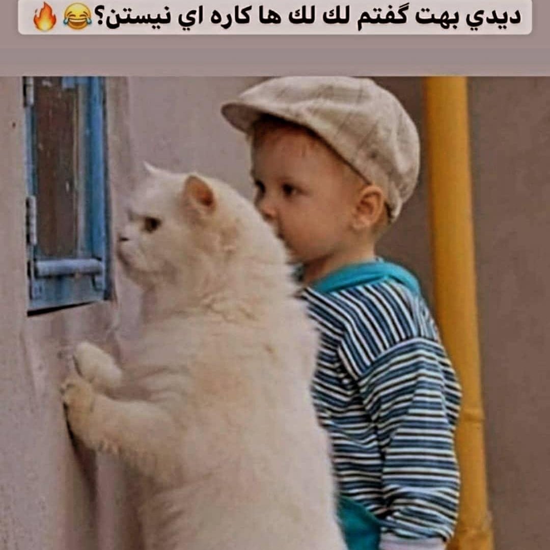 niyayesh tweet media