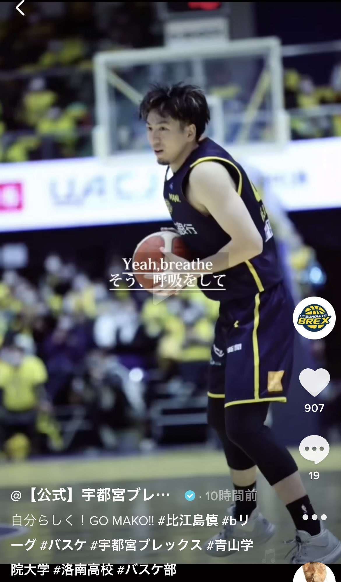 Amazon.co.jp: Bリーグ 初年度 シーホース三河 比江島慎 2016-17