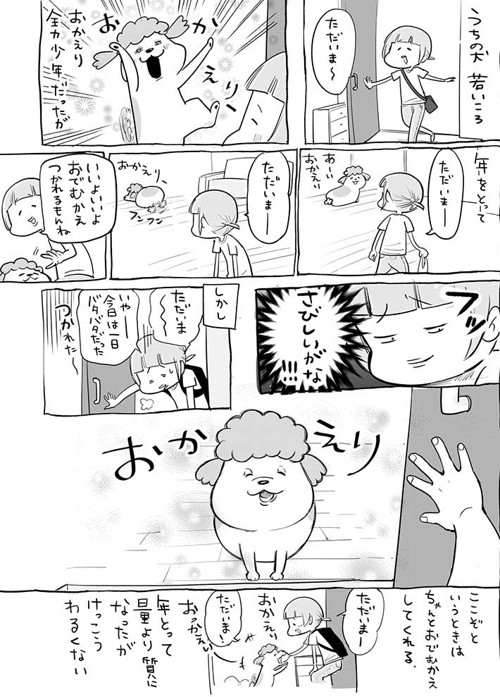 歳を取って丸くなったお猫様、飼い主を玄関までお出迎えかと思いきや… https://t.co/aitceHrSIK @grapeejpより 