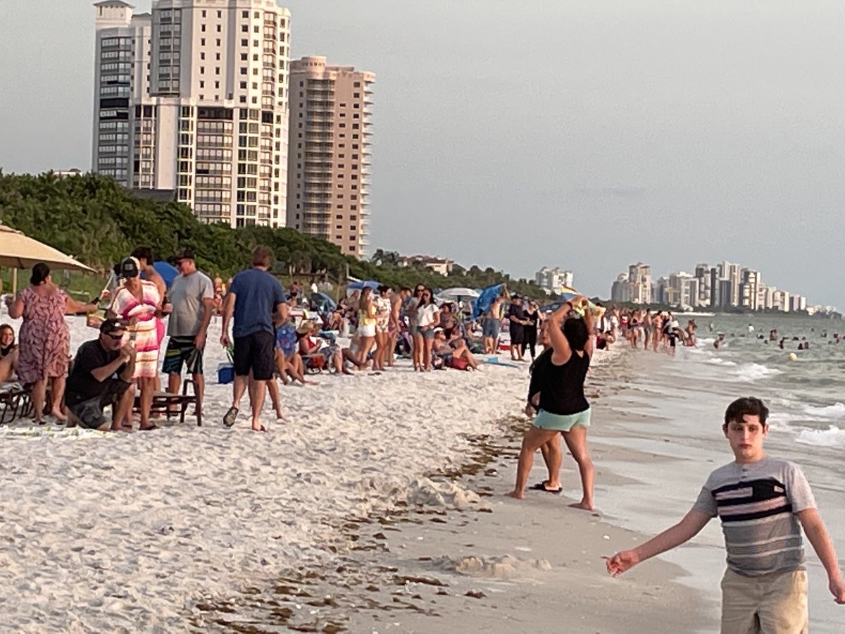 DavidHackem's tweet image. Sunset Naples FL