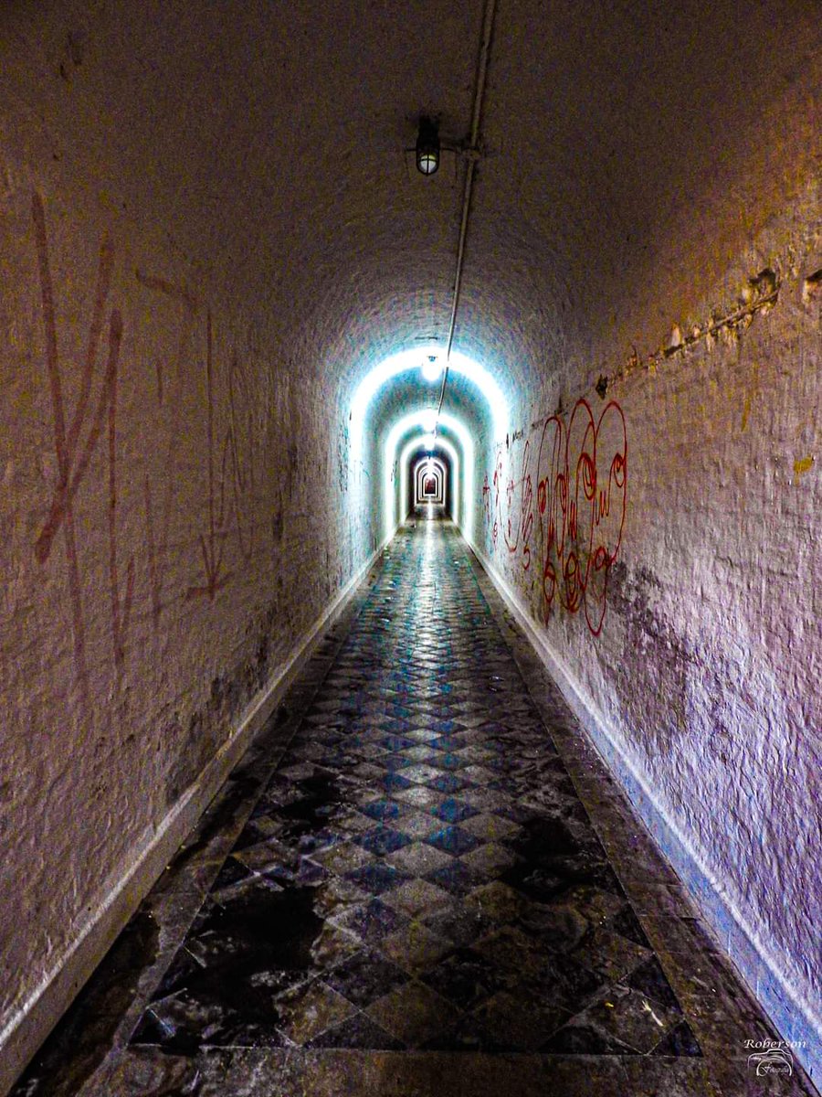 CompartCampinas's tweet photo. Túnel histórico em #Campinas https://t.co/v0mJ8Dv1xr