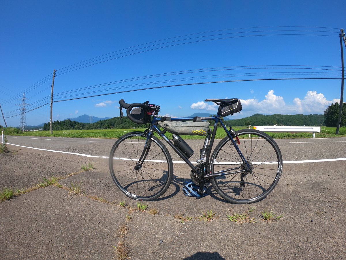 backblind46's tweet image. My partner.