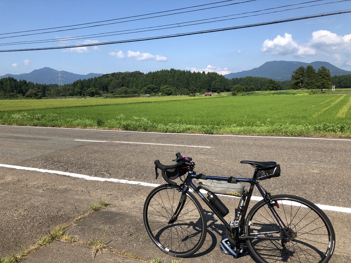 backblind46's tweet image. My partner.