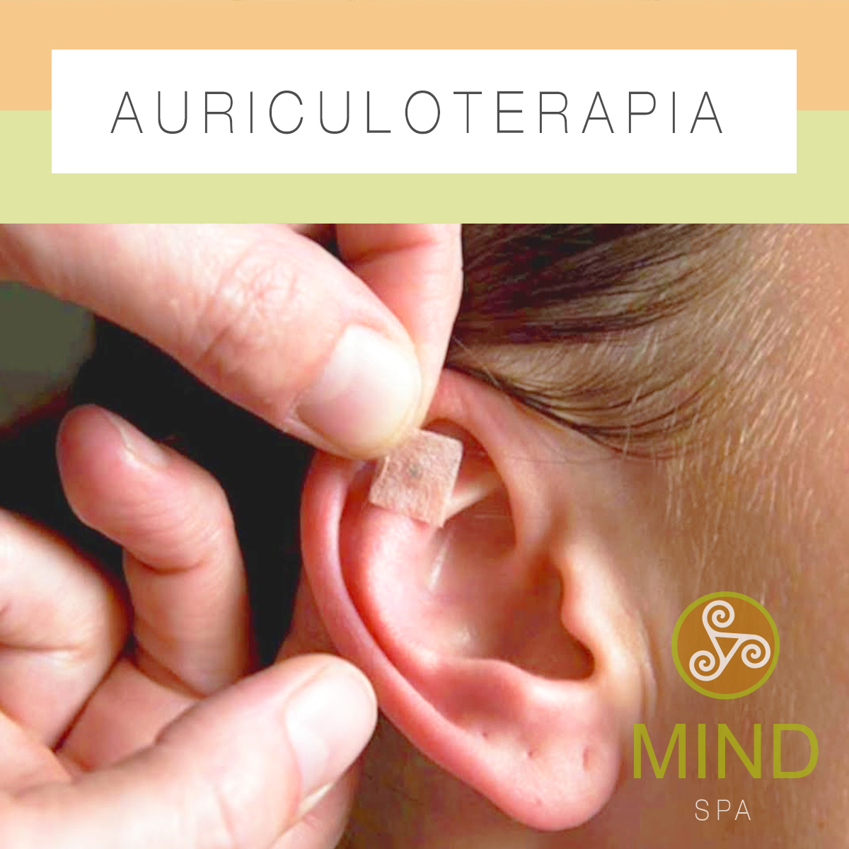 Mind Spa (@mindspacba) on Twitter photo ๐จ๐ผ๐น๐ฐ๐ช๐ผ๐ณ๐ถ๐ป๐ฌ๐น๐จ๐ท๐ฐ๐จ
โจ Procedente de la Acupuntura, se
basa en que, en el oรญdo se representan todo nuestro cuerpo, por lo que las dolencias se pueden tratar estimulando unos puntos del pabellรณn auditivo externo.
#MindSpa #Masajes #MasajesEnCordoba
#Auriculoterapia ๐จ๐ผ๐น๐ฐ๐ช๐ผ๐ณ๐ถ๐ป๐ฌ๐น๐จ๐ท๐ฐ๐จ
โจ Procedente de la Acupuntura, se
basa en que, en el oรญdo se representan todo nuestro cuerpo, por lo que las dolencias se pueden tratar estimulando unos puntos del pabellรณn auditivo externo.
#MindSpa #Masajes #MasajesEnCordoba
#Auriculoterapia