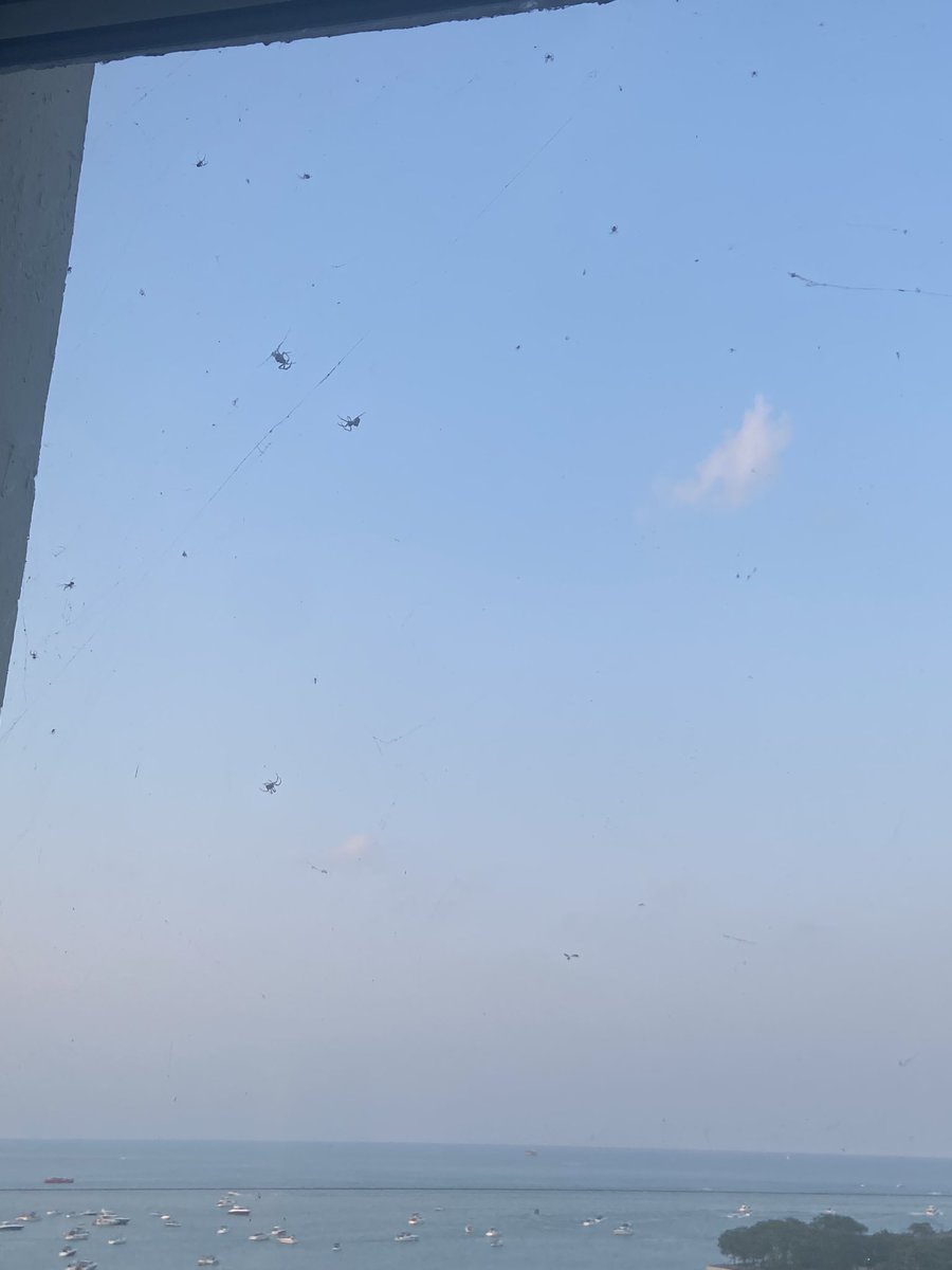 smehta221's tweet photo. @WHotels  your Chicago location is such a #disappointment. Spiders all over and #nofridge #nocoffee #noclock #brokenicemachine. You’re not worth the price. #neveragain https://t.co/xQIqEuxU5D