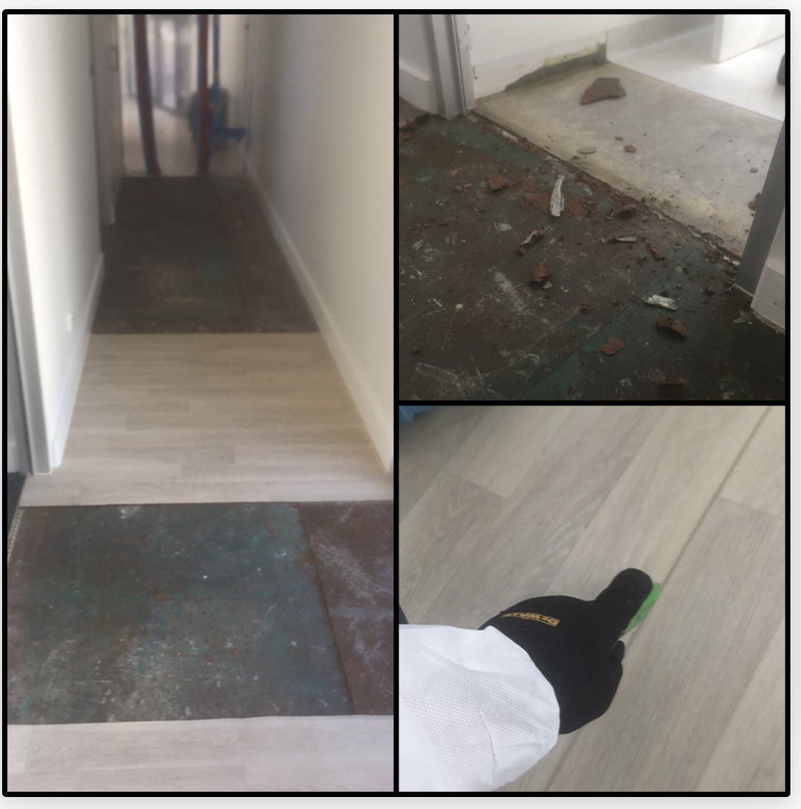 SevenStarCarpetCare tweet media