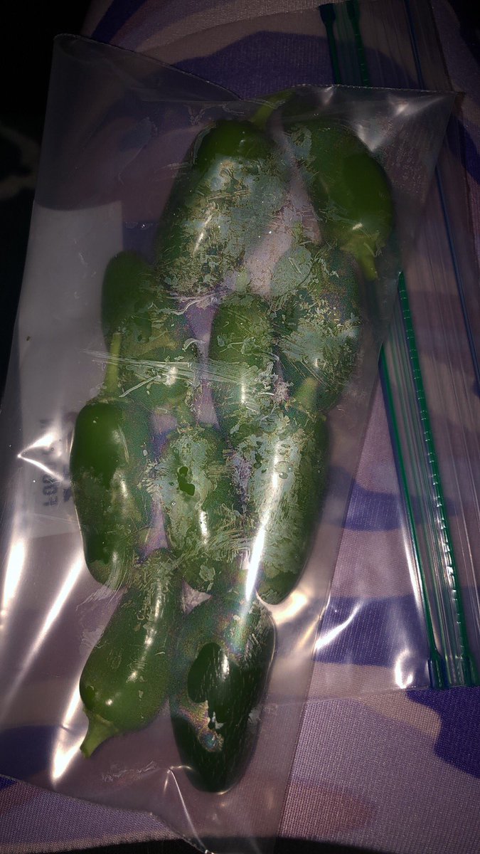 Katticus 🧙🏻‍♀️ tweet media