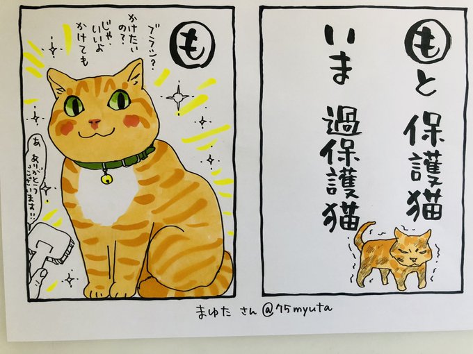 おはようございます

電動草刈り機を入手した私
北区田端あたりの線路脇のつる草を見ても刈りたくなります
やれば進むことをしたくなる日曜日です

今朝のカルタは、まゆたさん@75myuta
の句。
ありがとうございます

今日
ご無事で!

#夜廻り猫カルタ 