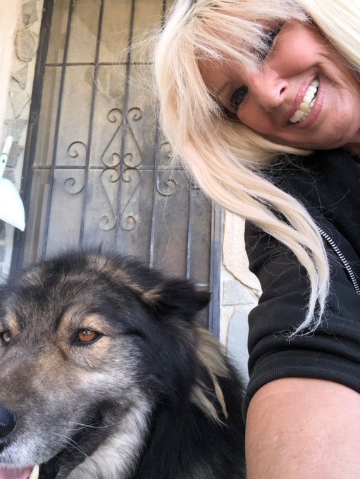 My wolf hanging out https://t.co/tuVjvQ1lPD