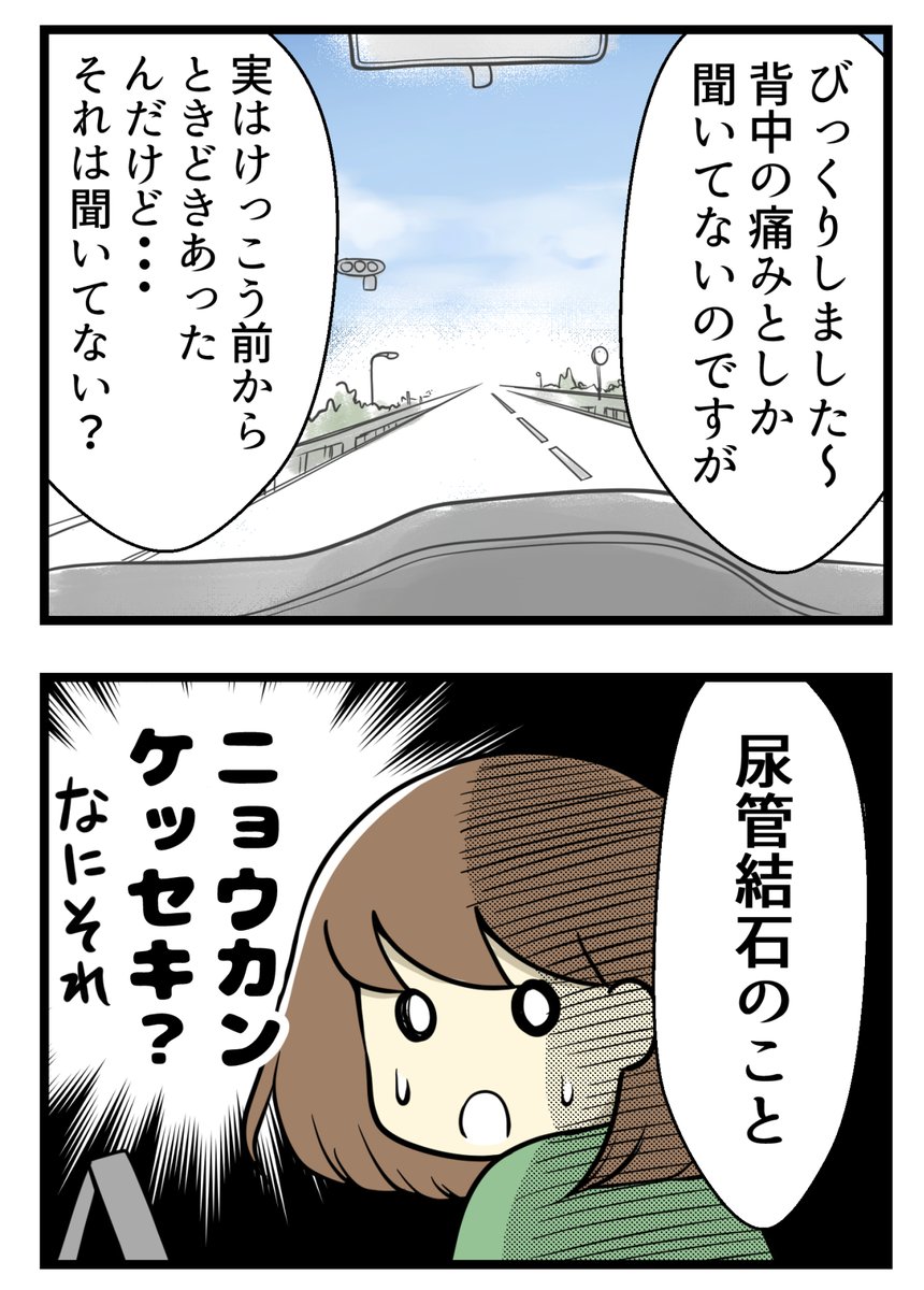 夫に襲いかかった突然の激痛とは1/3 #絵日記 #コミックエッセイ #夫婦漫画 

新婚時代のお話 