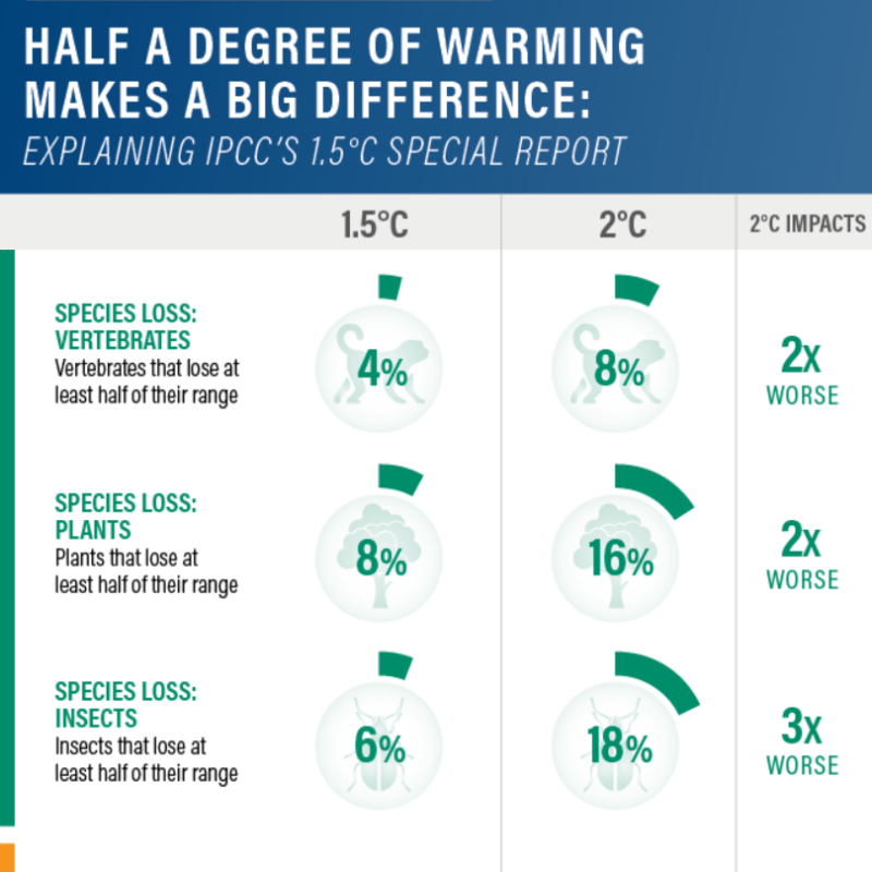 WorldResources's tweet photo. The new @IPCC_CH report comes out tomorrow. To get ready, let's look back on their special report detailing the huge difference between 1.5 ˚C and 2 ˚C in global warming.