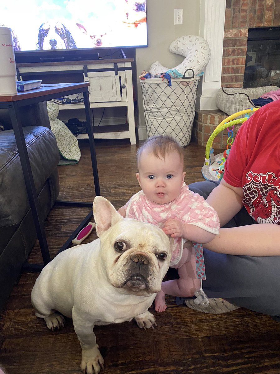 CTMagicGuy's tweet image. .@VorthosMike all the snugs and boops here