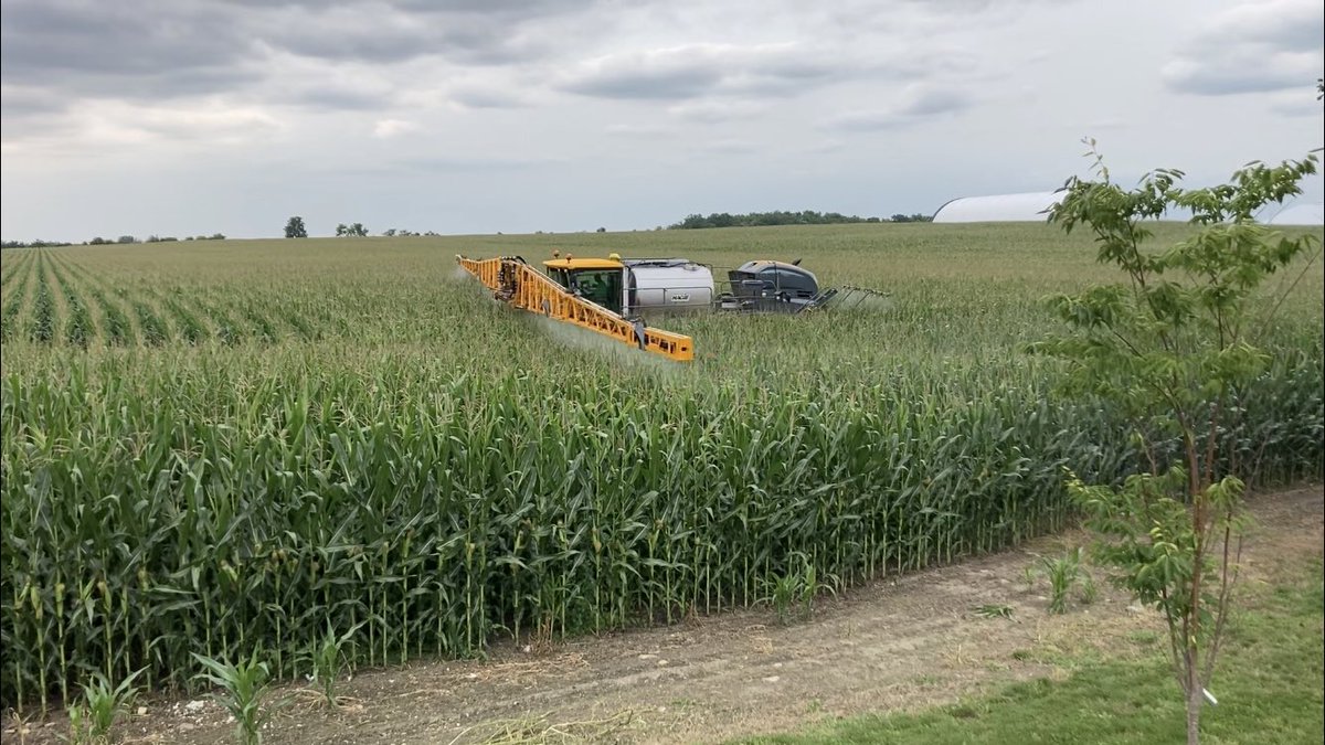 Robin Poss tweet media