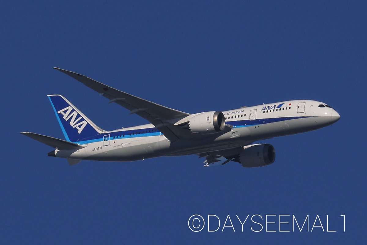 DAYSEEMAL1's tweet photo. 7月に撮ったANAのヒコーキです✈️
7/13モハーヴェへ向け離日していったJA779A、3月にロンドンからのNH212便で撮っていました(´- `*)
#ANA
① #JA609A #B767 -381ER #NH32 7/18
② #JA779A #B777 -381ER #NH212 3/24
③ #JA809A #B787 -8 #NH258 7/18
④ #JA886A #B787 -9 #NH185 7/18 https://t.co/s0Zkj8N5j8