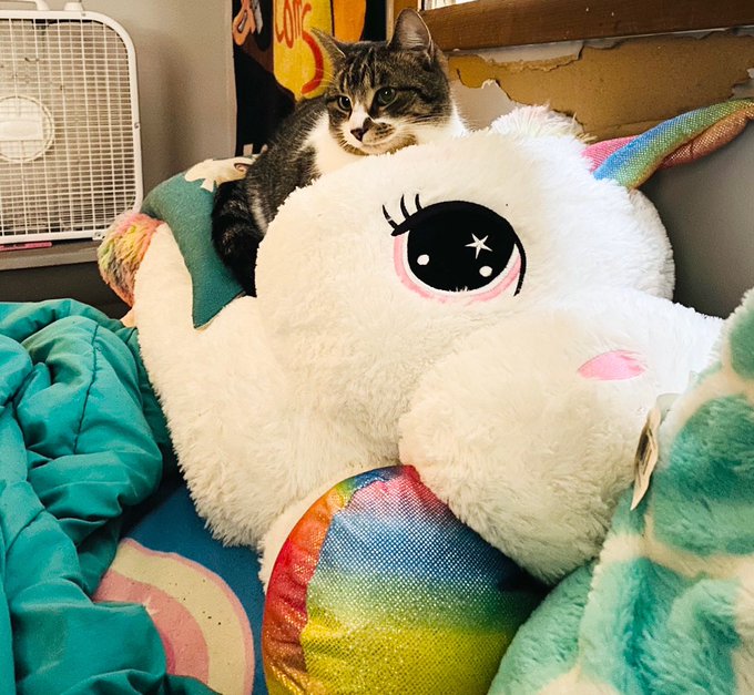 At dawn, we ride. https://t.co/UNqiN3Qj3y<a href="/tag/myxanniversary"class="tags"><span>#myxanniversary</span></a>