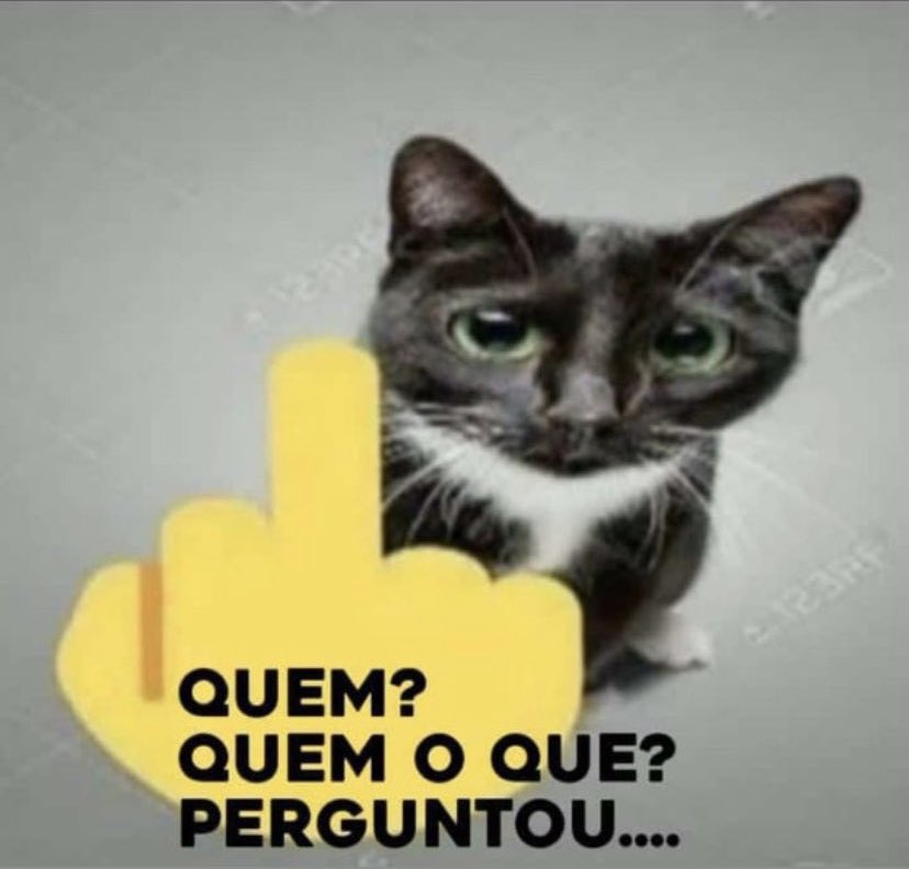 ackergrr's tweet photo. to me irritando dnv eu vou acabar falando merda https://t.co/oulum1V8ca