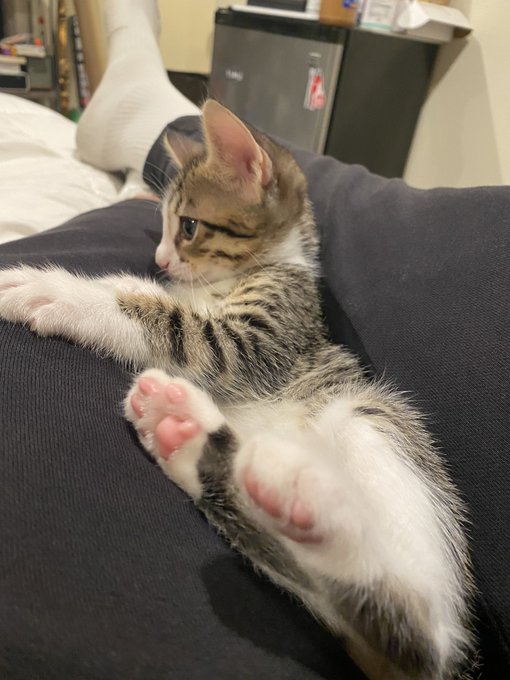 my baby boy 🥺 https://t.co/rYgHrnDjtt