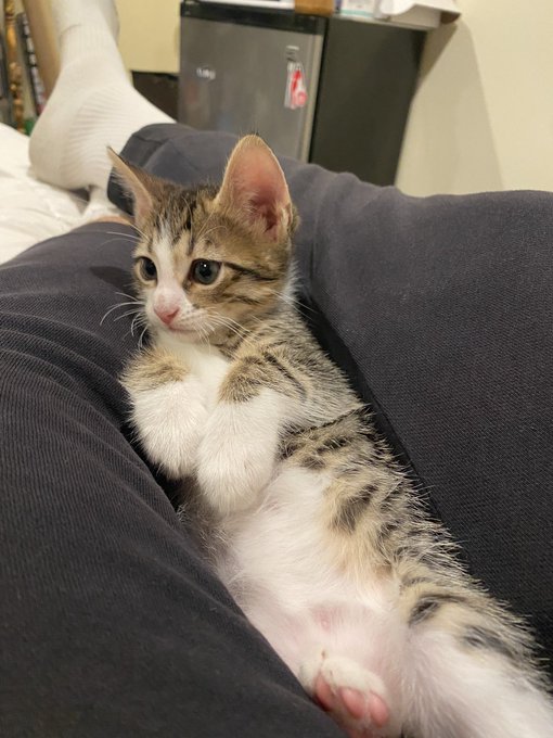 my baby boy 🥺 https://t.co/rYgHrnDjtt