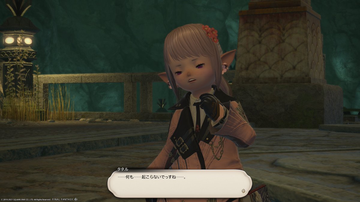Ff14 紅蓮編の記録 Min T ミント