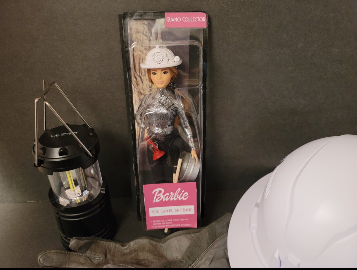 cloudcapture7's tweet image. #GISH  @Mattel  #DirtyJobs4Barbie