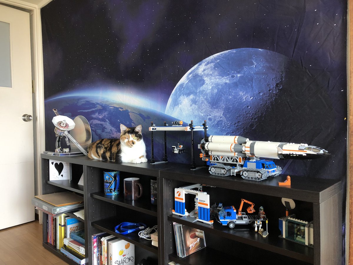 EpicSpaceModels's tweet image. I think that my cat wants to be put on display.