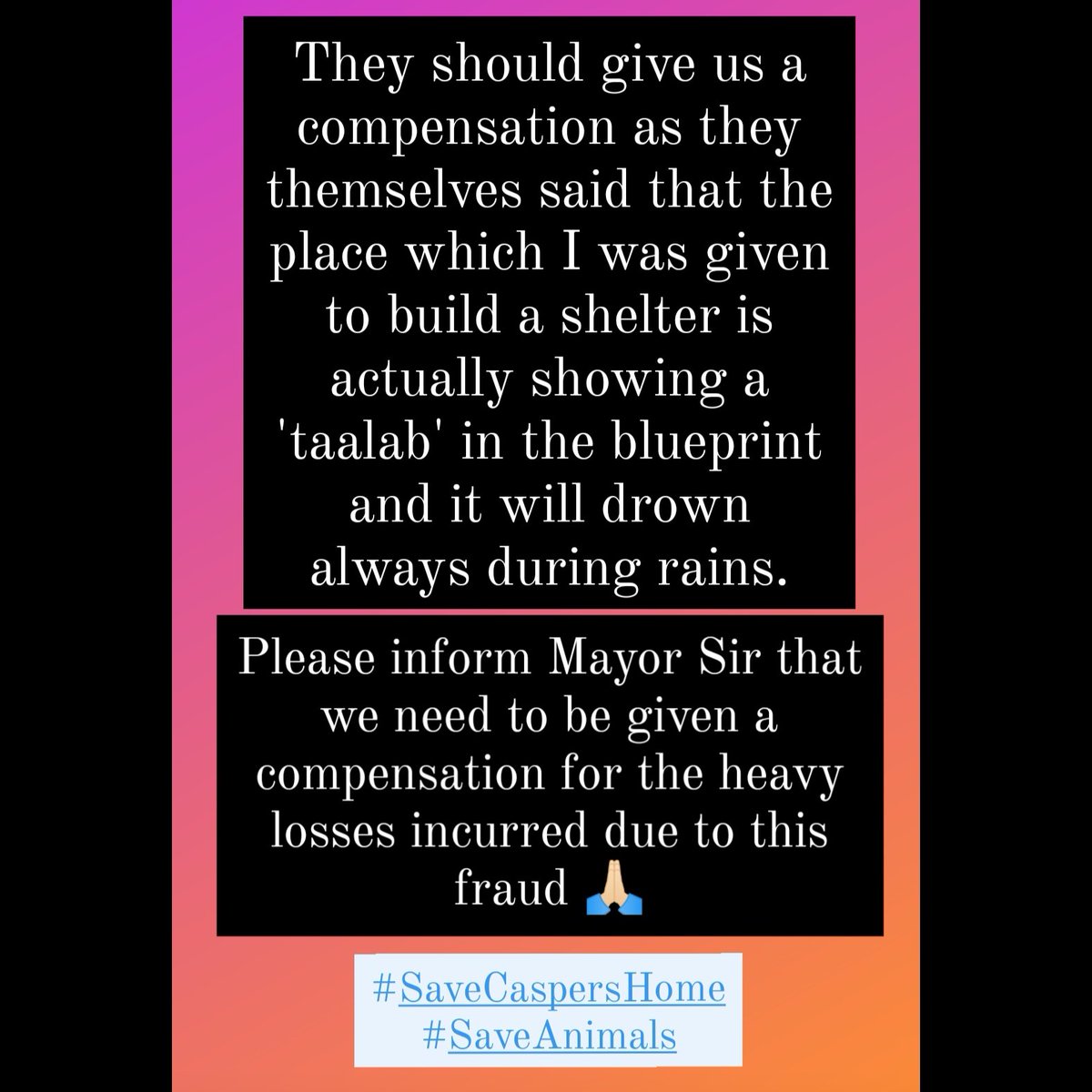 Casper's Home Vineeta Arora tweet media