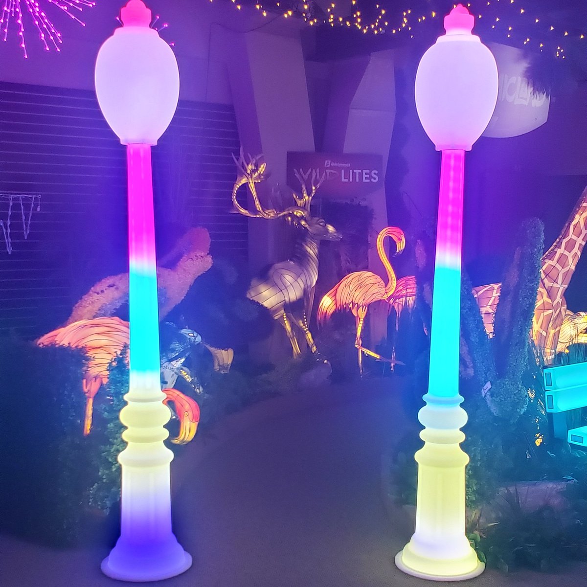 cornhusker88's tweet photo. Dynamic Illuminations and Dynamicland only from Holidynamics, Inc.  https://t.co/6rBTVRDzhj
Reach out to me for more details! #rgb #dynamicilluminations https://t.co/rKS3mhCJNM