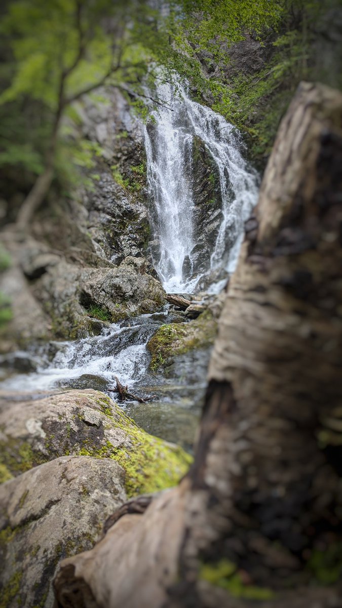 #hiking #fundynationalpark #thirdvaultfalls #newbrunswick #canada