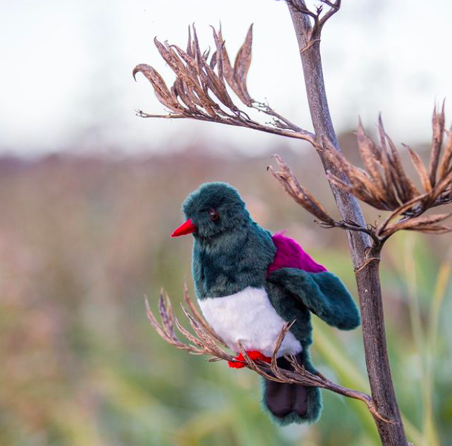 buynzmade's tweet photo. Nativez create toys inspired by our home, Aotearoa, and its unique flora and fauna πΈ This cheeky little fella is a kereru and would make a great addition to any child's soft toy collection π³πΏ #buynzmade #shoplocalnz https://t.co/GD5Zfac7FK