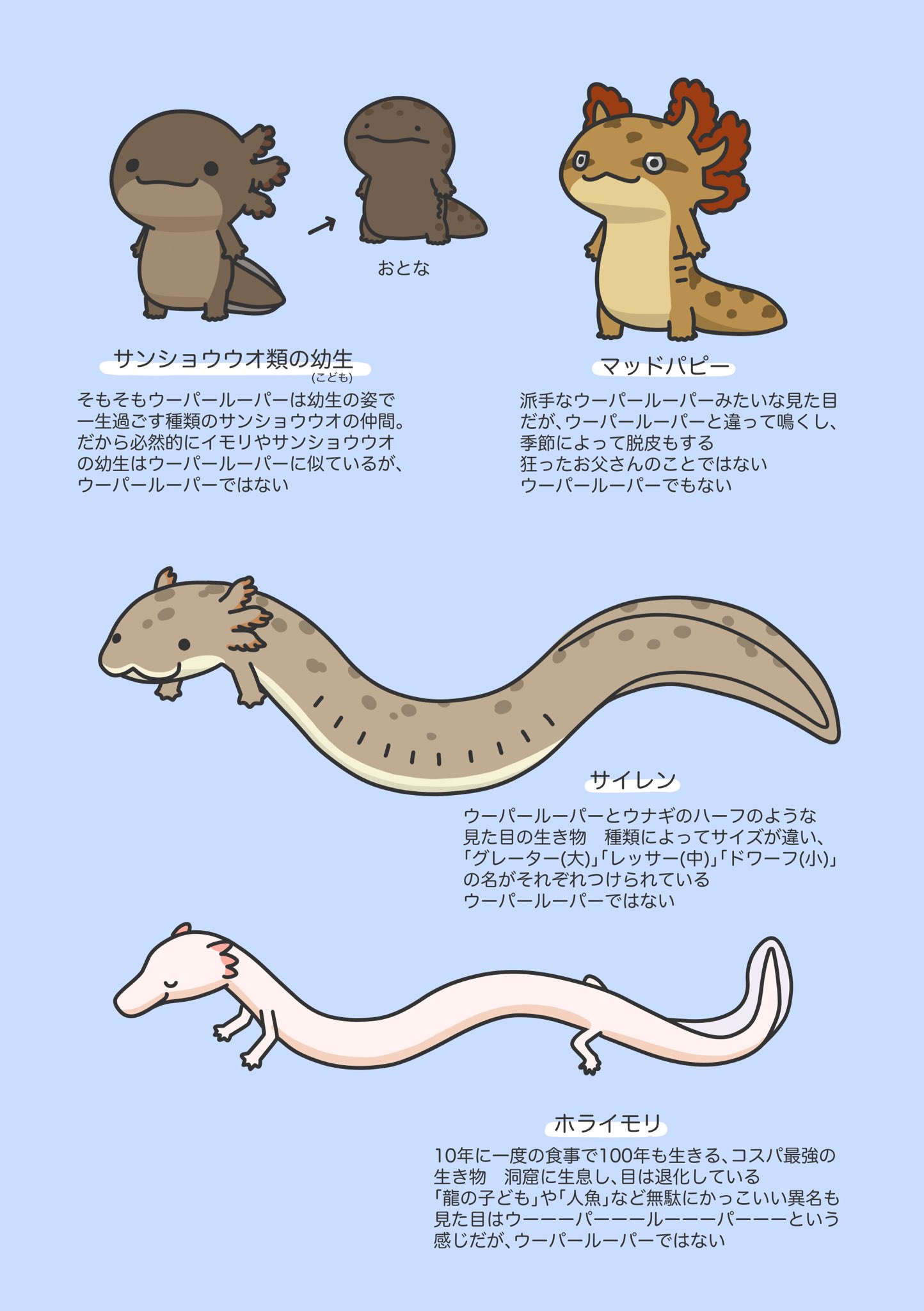 Tweets With Replies By Frogs And Lizards Hourlyherpz Twitter