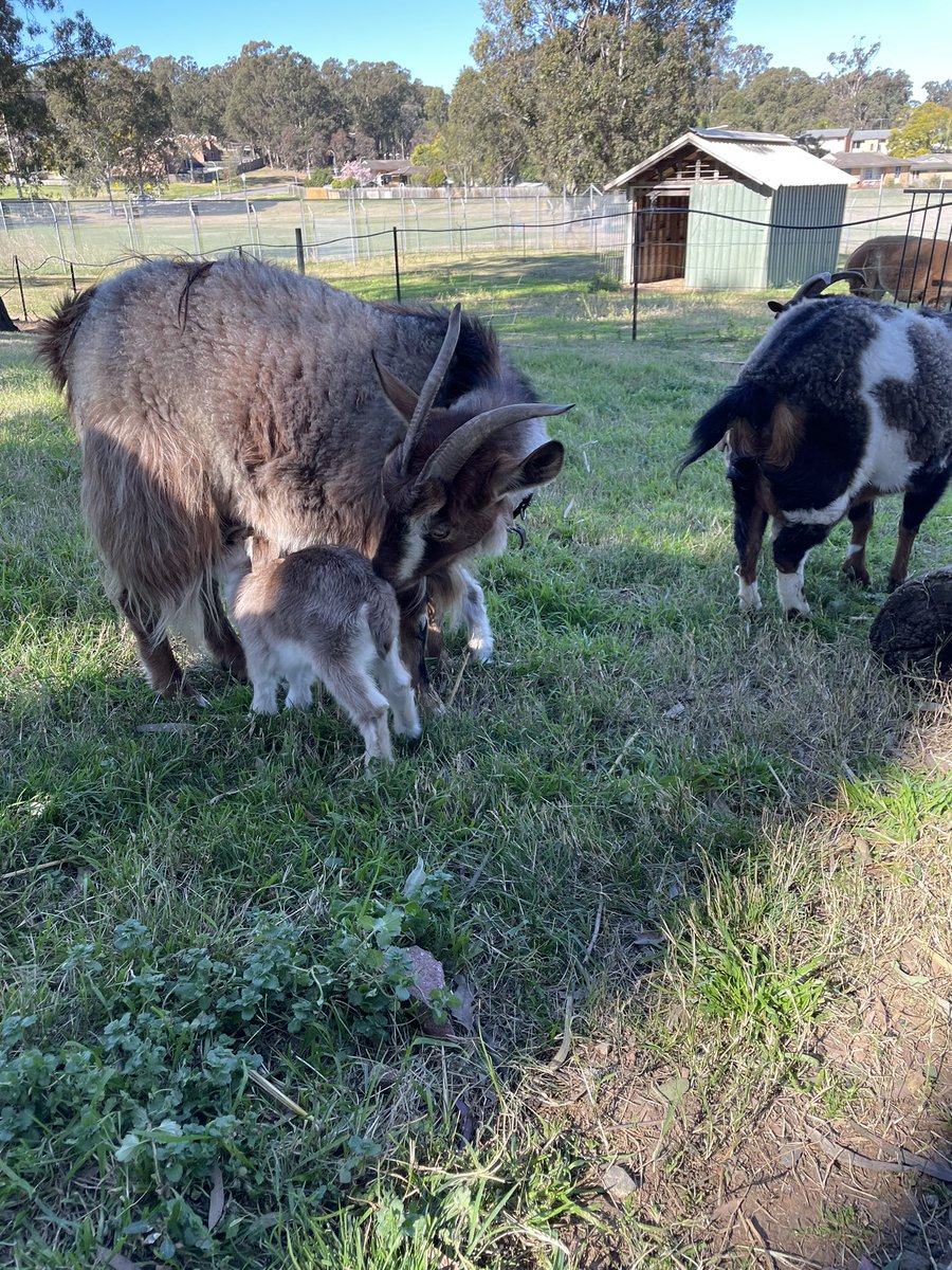 Craig Dunne tweet media