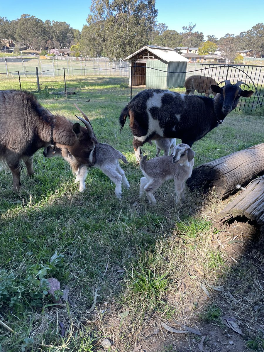 Craig Dunne tweet media