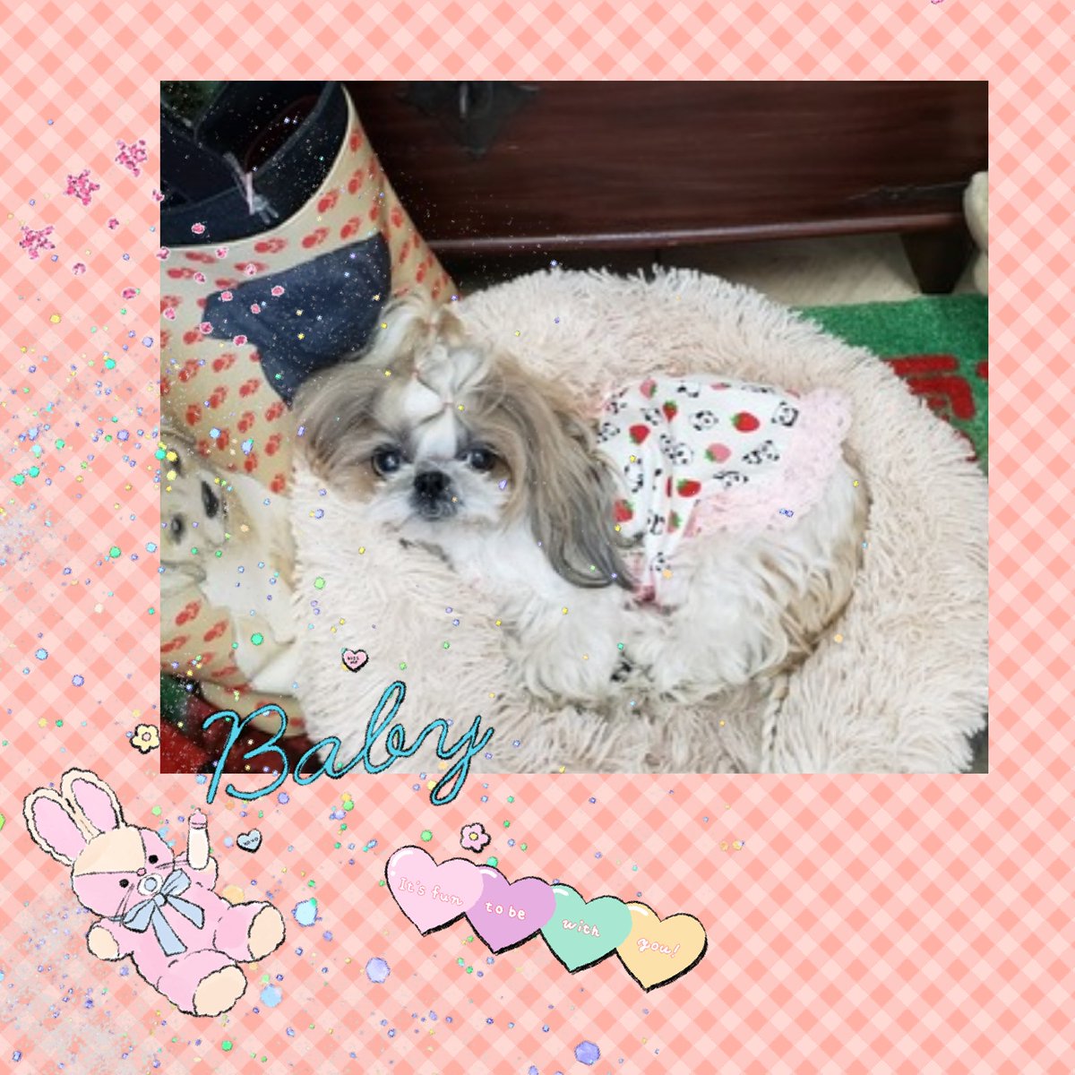 たかこ様☆犬服☆ハンドメイドオーダー☆4着✩.*˚ め～たん様☆犬服☆ハンドメイドオーダー☆2着✩.*˚