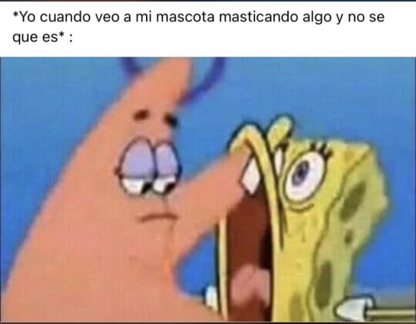 RodguezEli's tweet photo. Alguien más? https://t.co/Q53zhiAne8