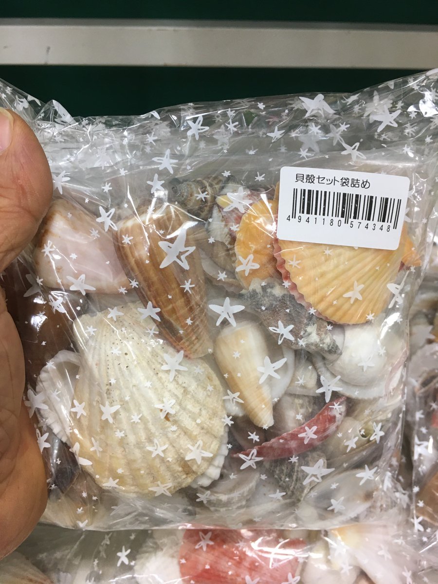 貝殻セット 楽天市場】天然素材 A品 ヒトデ ホタテ サンゴ 色々な貝殻セット 350g