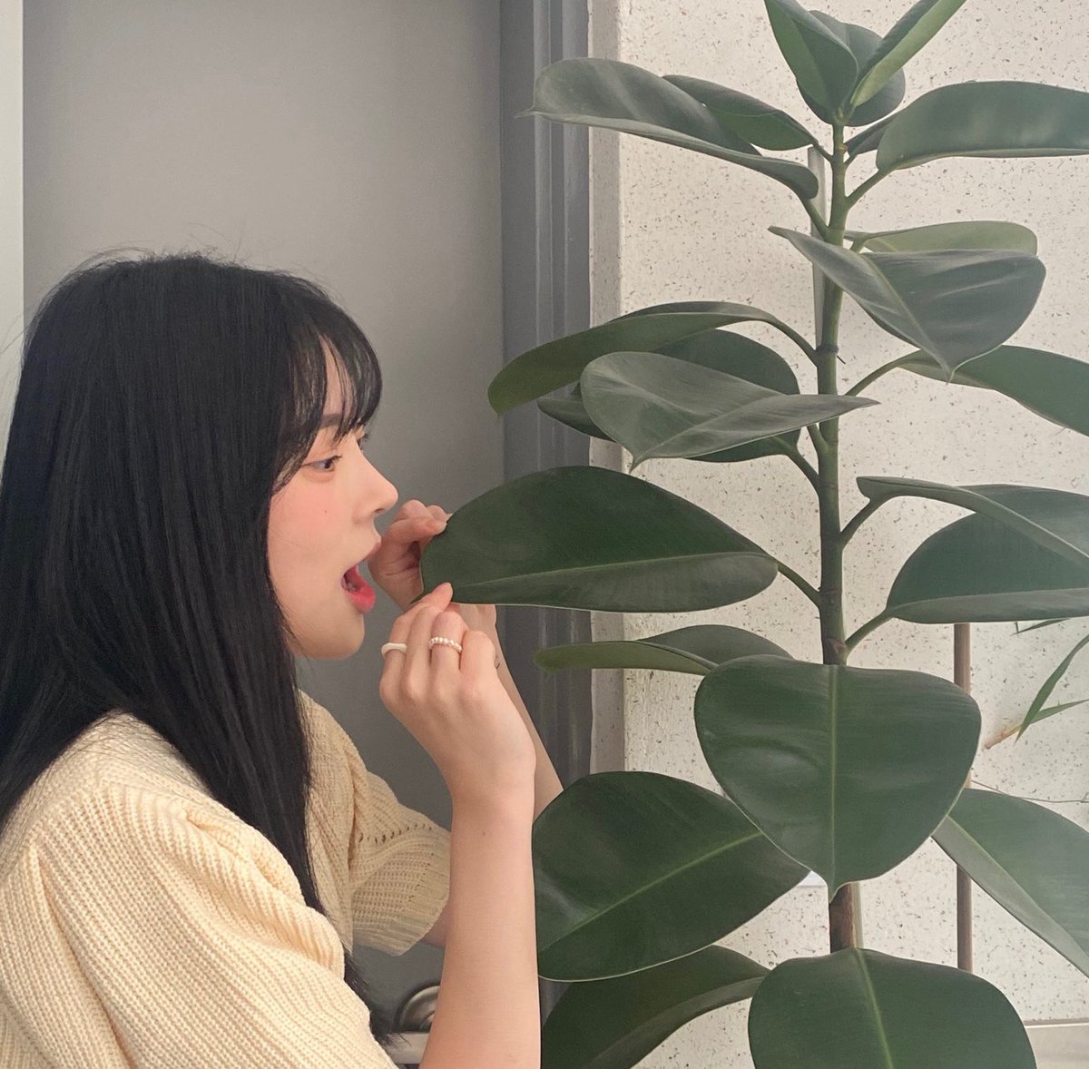 GIG__Official tweet picture