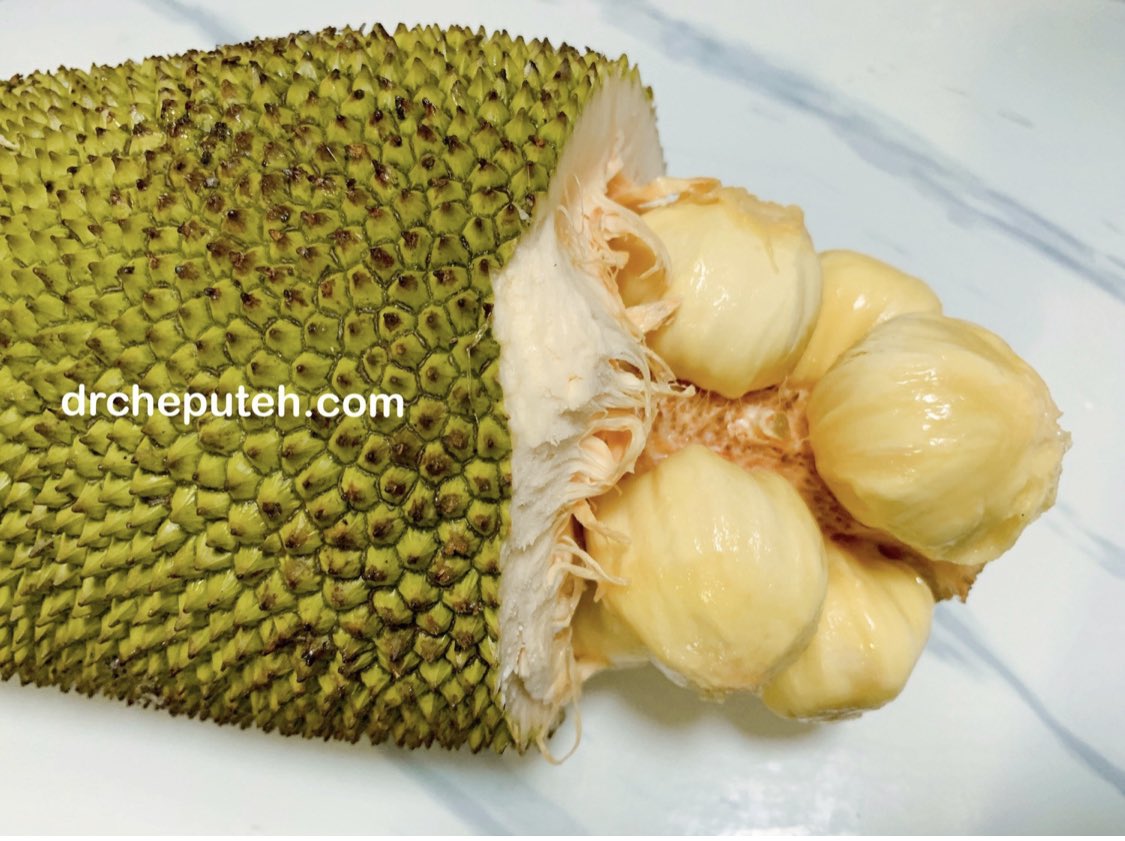 Kenapa Perut Kembung Lepas Makan Cempedak?