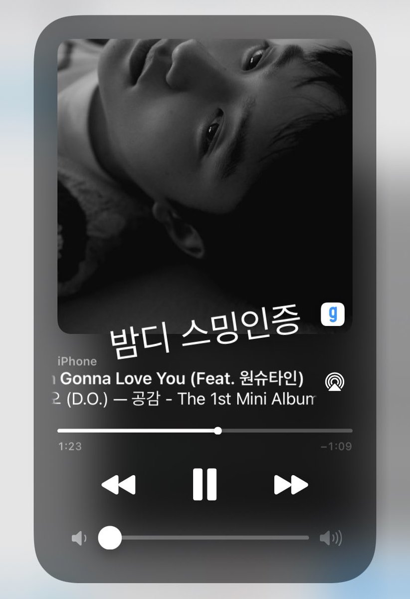 밤디 tweet media