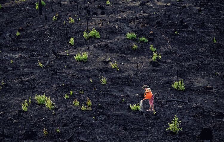Hope… #Turkey 📷 Meriç Aktar