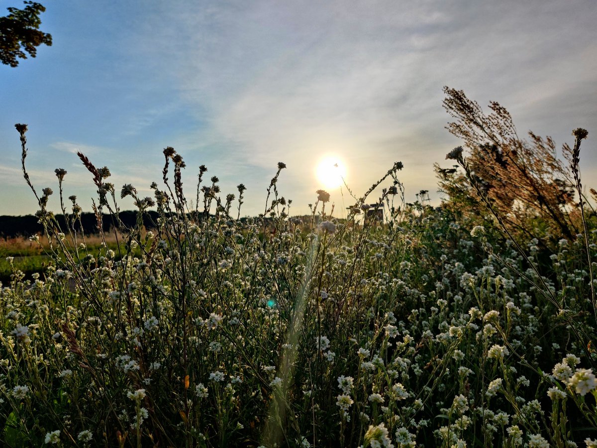 6.00 Uhr, irgendwo in Brandenburg. Guten Morgen!