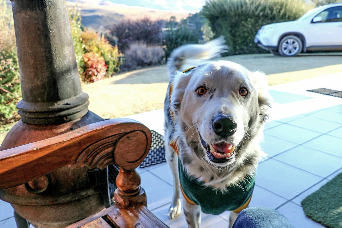 Monique_PR_'s tweet photo. [thread] 🏞️Hello Silverstreams Self-catering this is Riverbend Main Cottage 

#rebuildkzn #supportlocal #KZNhasitall #Drakensberg #underberg #TravelChatSA #restaurant #homemade #curioshop #SouthernDrakensberg #KwaZuluNatal #ShareSouthAfrica #AdoptDontShop 
https://t.co/kB6DKrDdV5 https://t.co/o0szkka6Mg