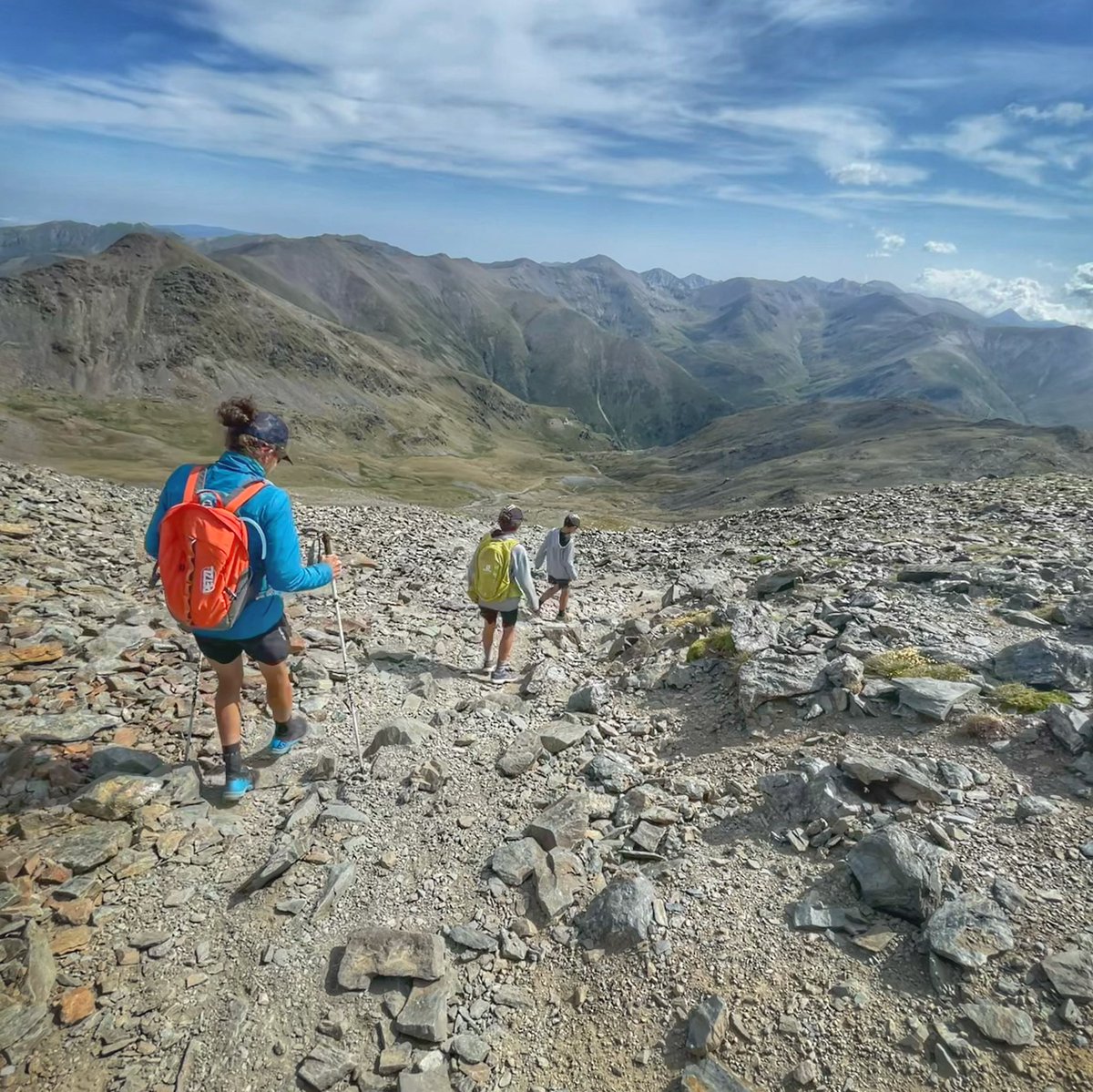NuriaPicas's tweet photo. La tora blava, la flor més tòxica d'Europa, es troba al Pirineu. Quan floreix és bonica però si es menja és mortal. ⚠️ A l'alta muntanya hi ha moltíssimes plantes que o són tòxiques o són protegides, val més no tocar-ne cap. Gaudim-ne, fem-ne fotos, però no les toquem! https://t.co/iHgsw5XiZb