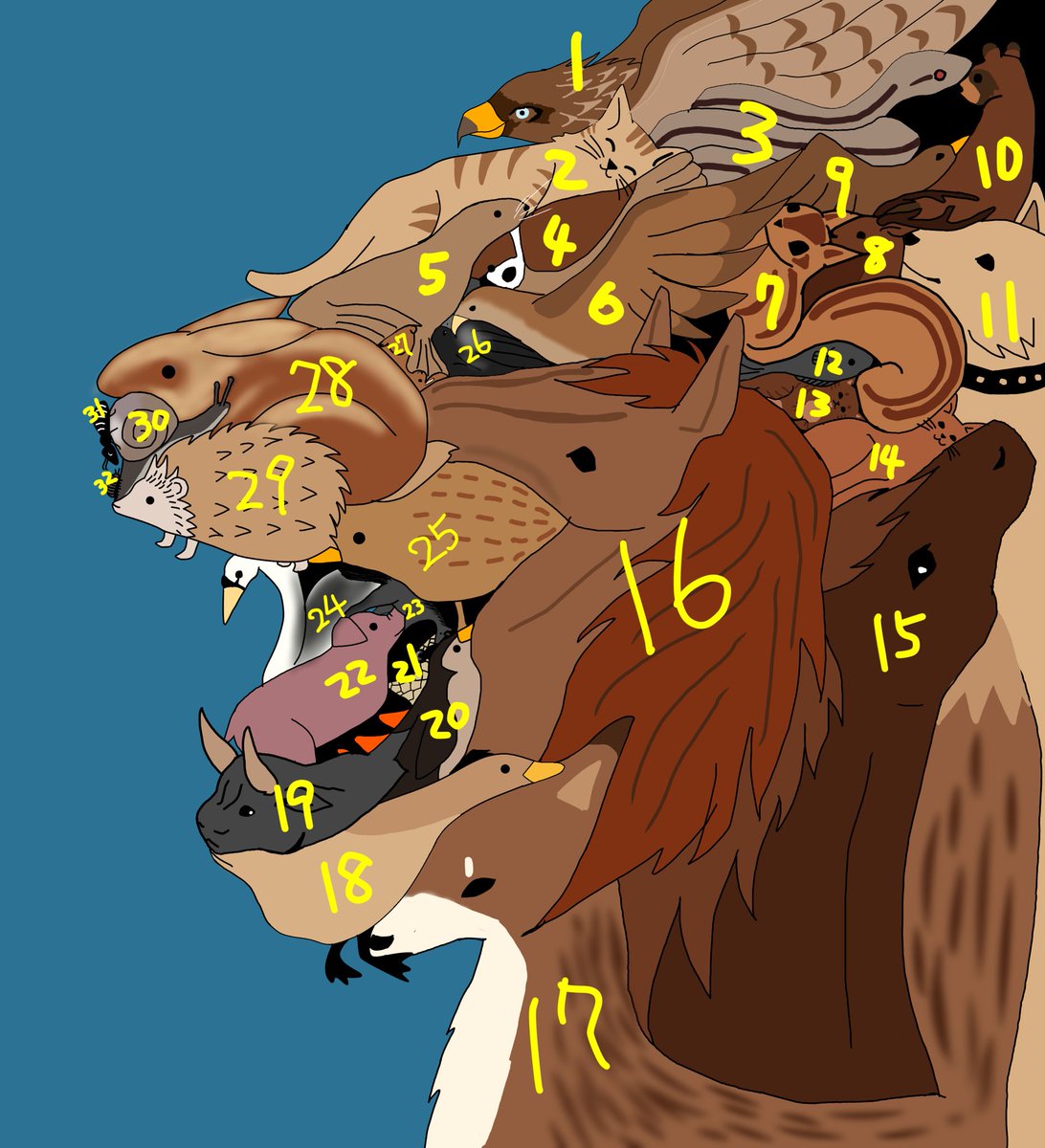 隠し絵 Twitter Search Twitter