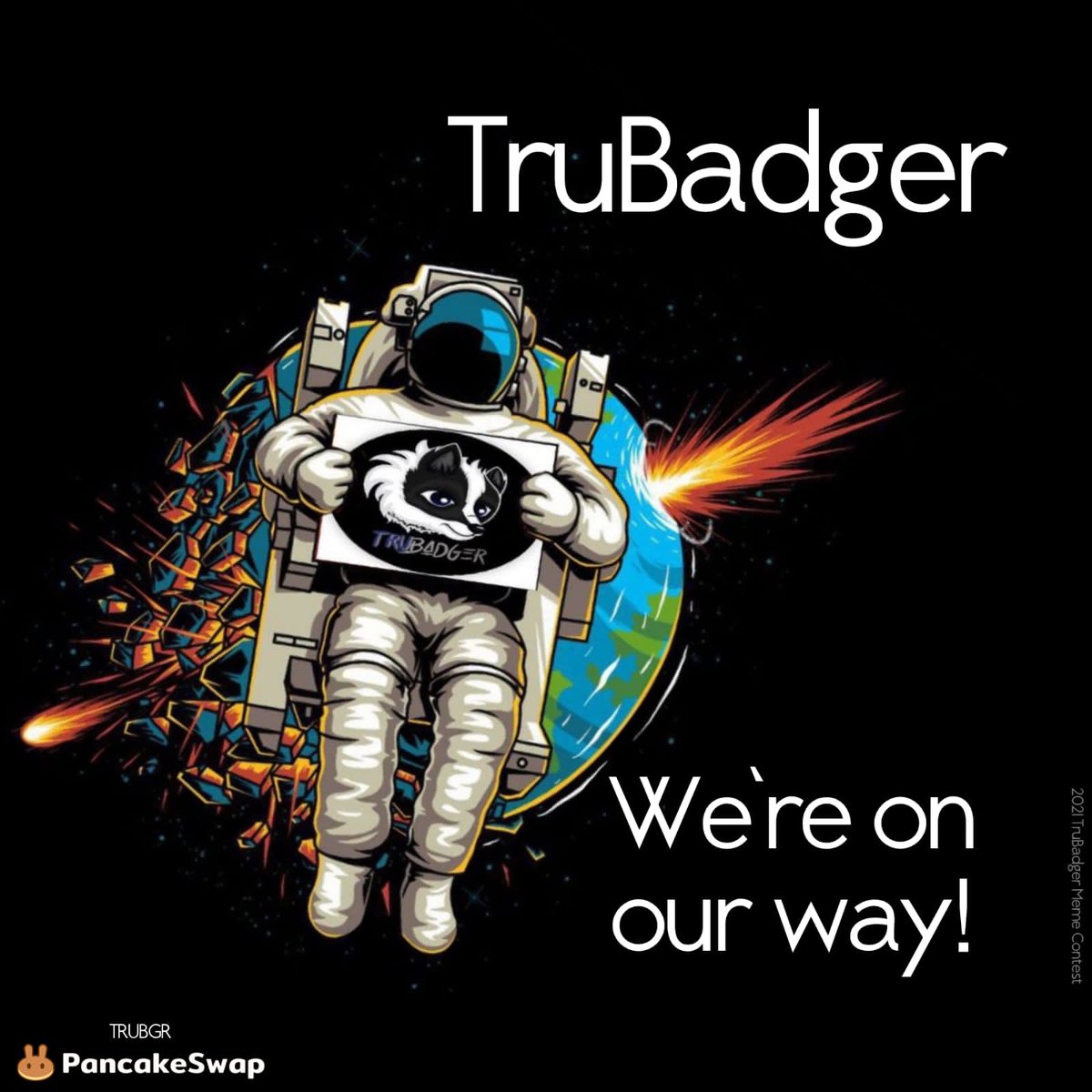 TheTruBadger's tweet photo. In a healthy market, charts go up and go down. It’s the difference between the highs and lows that differentiates us from the other tokens.

Buy, hold, sit back, participate in TruBadger Army, buy the dips and let’s grow together 🚀

We are on our way! 🤝

#TruBadgerToken https://t.co/j3vg3KvO5G