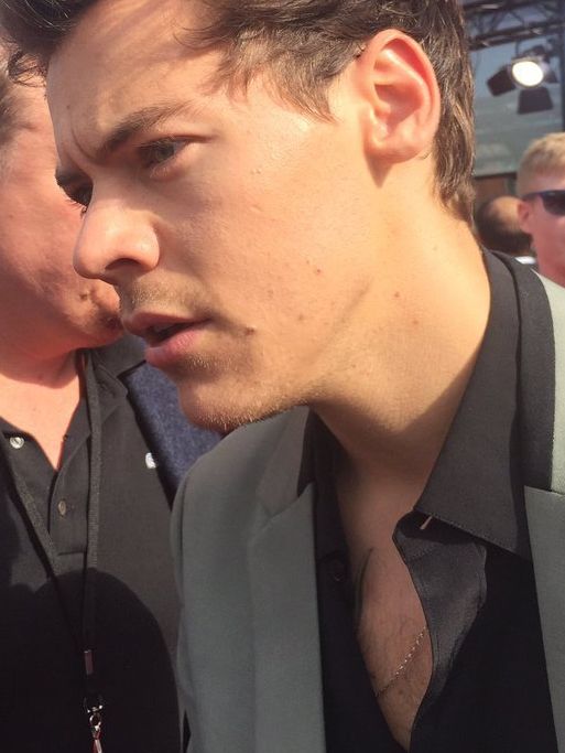 ipleasingstyles tweet picture
