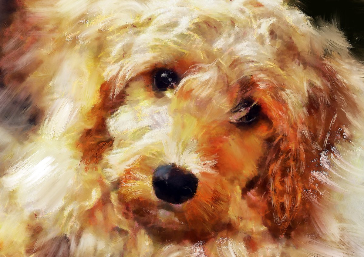 Cockapoo Dog Owner Gift, Abstract Painting Wall Art Print Signed by Artist A4 A3 11x14 Dog Memorial, Golden Cockapoo by Oscar Jetson etsy.com/DogFishArtCo/l… #Art #dogs #dogsoftwitter